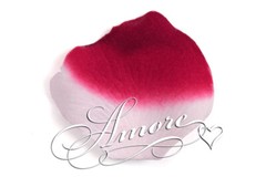 1000 Wedding Silk Rose Petals France (Burgundy and White), Petals & Garlands, Ro