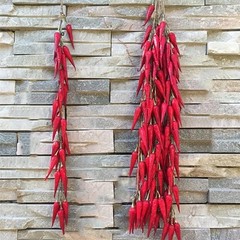 Artificial Pepper String, 5 Pack Simulation Red Chili, 5pcs