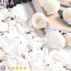 Natural Dried Rose Petals Romantic Weddings Decor Events Crafts Celebrations New
