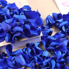 Natural Rose Petals Wedding Decor Romantic Nights Proposal Decorations Crafting