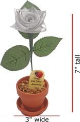 Elegant Silver Rose for Anniversary Celebration