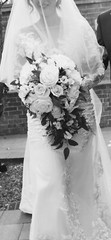 LRG Bridal Wedding Bouquet White Rose Cascade Bouquet Sage ￼Eucalyptus 24″LX15″W