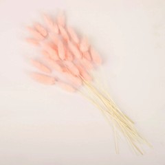 BLUSH 50 Stems 15″ Rabbit Tail Dried Natural Pampas Grass SPRAYS Party Events