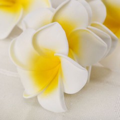 10/50Pcs DIY Frangipani Flowers Artificial Foam Floral Wedding Party Dekor Parts