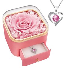 Beferr Valentines Day Gifts for Her Preserved Real Rose with Necklace B Pink