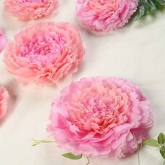 6 pack 7″ 9″ 11″ Blush and Pink Tissue Paper Carnation Flowers Backdrop