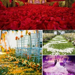 1000pcs Artificial Rose Petals Silk Flower Petal Wedding Aisle Birthday Setting
