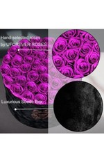 U Forever Roses Purple
