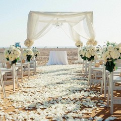 Rose Petals Decor, 5000 Pcs, Valentine Wedding Anniversary, White