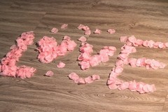 1500PCS Fake Rose Petals, Romantic Decor, Pink, Wedding Party Proposal