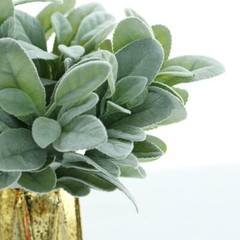 4 Frosted Green 12-Inch Artificial Flocked Lambs Ear LEAVES SPRAYS STEMS Party