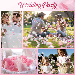 180 PCS Real Pink White Rose Flower Petals Confetti for Wedding to Throw, 1.75oz