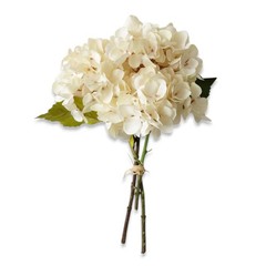 Cream Hydrangea Bouquet Stem Bundle