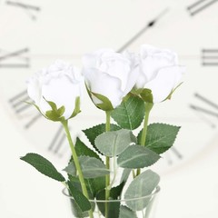 WHITE 24 Artificial 31″ Long Stem Silk ROSE FLOWERS Party Events Decorations
