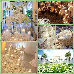 500+ PCS Real White Rose Petals, 4.57Oz (130G) Preserved White Flower Petal for