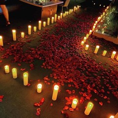 1000 Count Red Silk Rose Petals – Perfect for Weddings & Celebrations