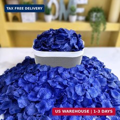 Winlyn 3000 Pcs Royal Blue Silk Rose Petals – Scented Ready-to-use Separated Rea