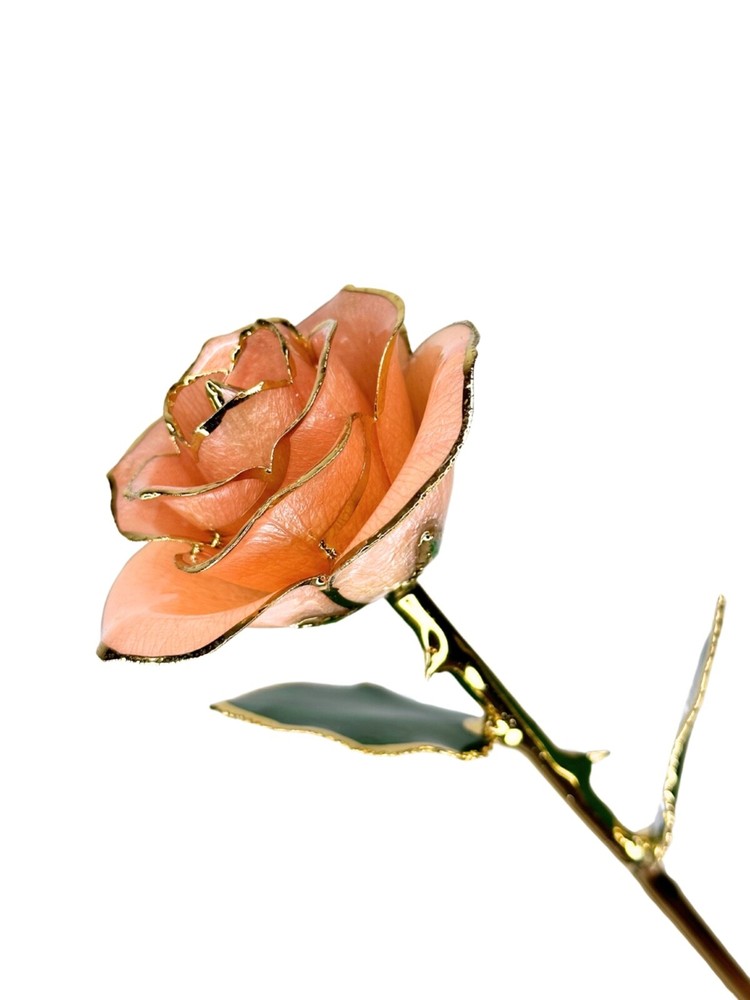 Pink Everrose- Open bud 30cm Real Rose Dipped in 24k Gold Foil Rose Valentine