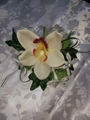 Wedding cymbidium orchid & stephanotis mother’s day prom corsage