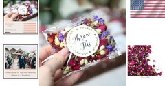 Instagram-Worthy Wedding Flower Petals – 50 Pack Rainbow Mix
