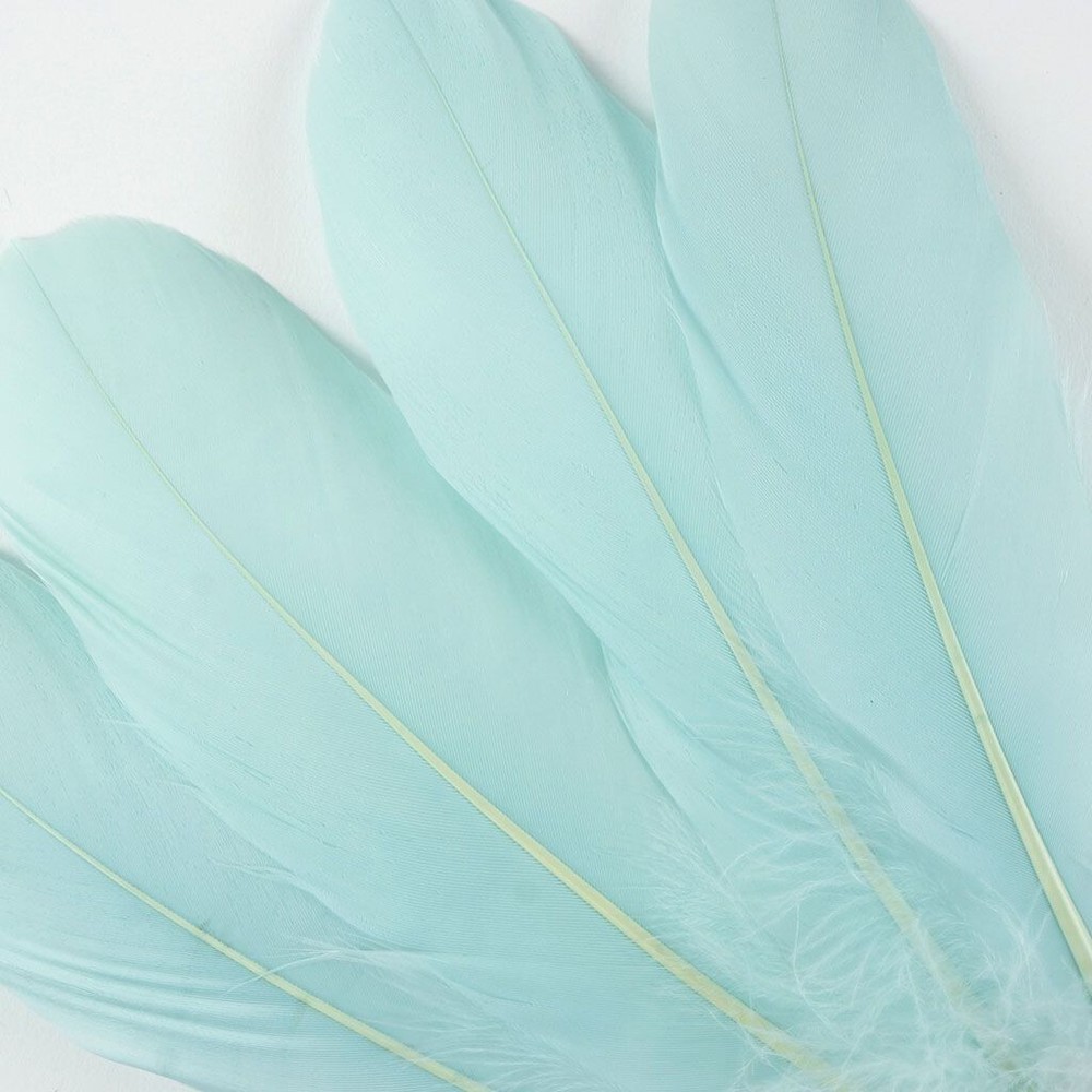 Mint Green Goose Feathers 6-8″ 12 Pc Wedding Millinery Crafts Decoration