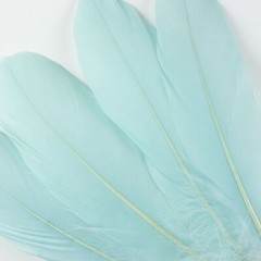 Mint Green Goose Feathers 6-8″ 12 Pc Wedding Millinery Crafts Decoration
