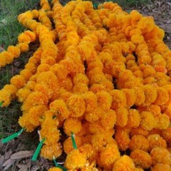 Wholesale Lot Artificial Mango Marigold Garlands Vine Wedding Indian Decoration