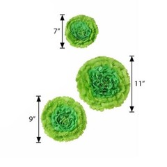 24 pack 7″ 9″ 11″ Mint and Tea Green Tissue Paper Carnation Flowers Backdrop