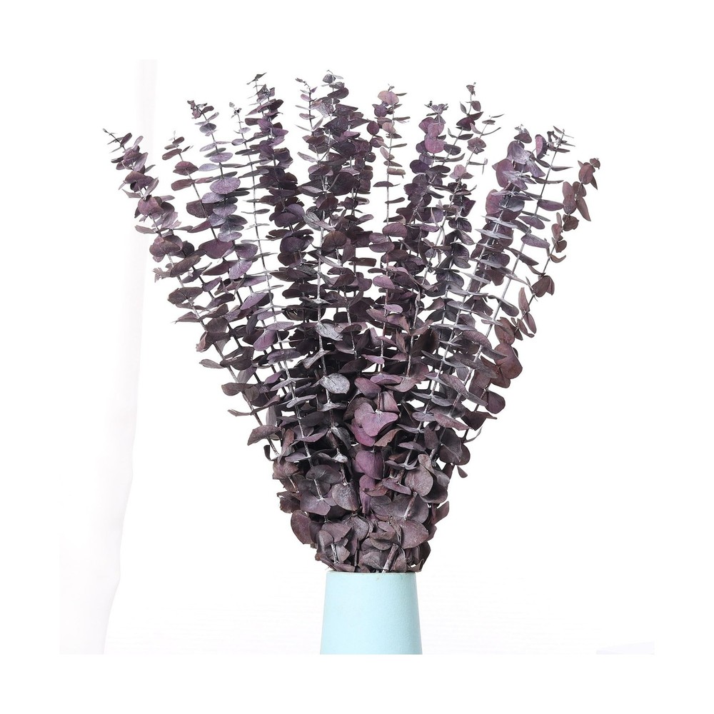 20 Pcs Dried Eucalyptus Stems, 17” Natural Real Live Purple Eucalyptus Leave…