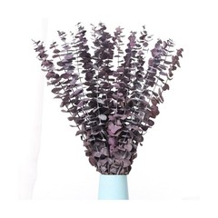 20 Pcs Dried Eucalyptus Stems, 17” Natural Real Live Purple Eucalyptus Leave…