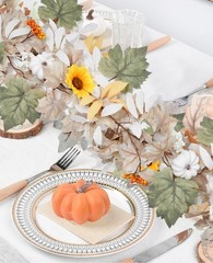 iToids 16 Varies (2.76 inches x 2.76 x 1.97 inches), Orange and White