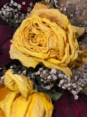 custom dried rose message
