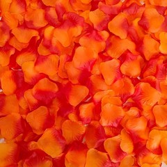 1500 PCS Separated Artificial Orange & Red Rose Petals Sunset Flower