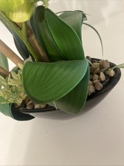 Huge Orchid Flower Display 17in Green Artificial Silk Flowers in Black Pot Faux