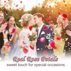 300+ Dried Red Rose Petals – Wedding Confetti, Party Decor, Romantic Proposals (