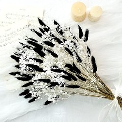Bunny Tails Dried Flowers Bouquet Fluffy Nature Pampas Grass with Baby Black