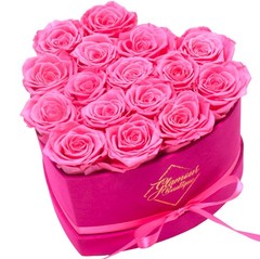 GLAMOUR BOUTIQUE 16 Flower Forever Heart Shape 16 Roses, Velvet Pink 16 Roses