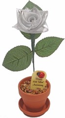 Elegant Silver Rose for Anniversary Celebration