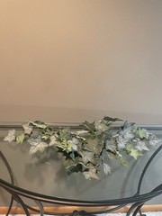 Frosted English Ivy Bush 22”