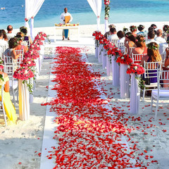 1200Pcs Red Rose Petals,Artificial Flowers for Wedding,Parties,Romantic Night,Va