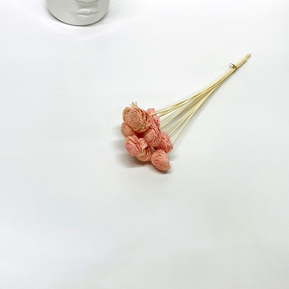 Preserved Stella Wand Natural Dried Flowers Home Wedding Bouquet Decor