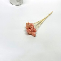 Preserved Stella Wand Natural Dried Flowers Home Wedding Bouquet Decor