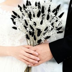 Bunny Tails Dried Flowers Bouquet Fluffy Nature Pampas Grass with Baby Black