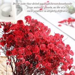 Pcs Dried Baby Breath Flowers, Red Mini Natural Gypsophila Dried Pressed 50