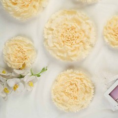 12 pack 7″ 9″ 11″ Ivory and Cream Tissue Paper Carnation Flowers Home Backdrop