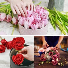 6Pcs Flower Foam Blocks,6.5Inch Round Dry Floral Foam for Artificial2981