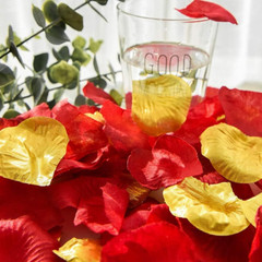 3000 pétalos de rosa roja, pétalos de rosa de flores de seda artificiales