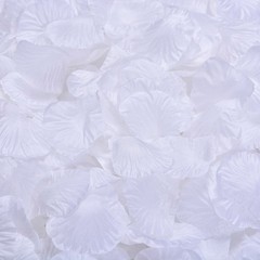 1000pcs Artificial Rose Petals Silk Flower Petal Wedding Aisle Birthday Setting