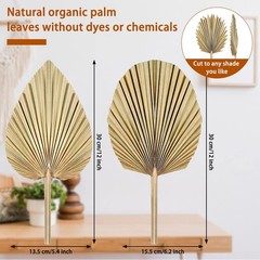 5 Pcs Natural Dried Palm Leaves 12″ Real Dried Palm Spears Bulk Boho Fans wit…