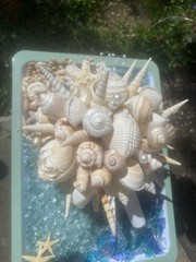 Natural Seashell Wedding Bouquet, Forever Keepsake, Beautiful One Of A Kind